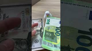 Mevzu para olunca kuşum ciddileşti 🥲 #money #meyzileyoutubeshorts #shortsfyp Resimi