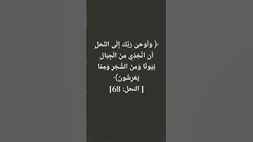 سورة النحل #ذكر #قرآن #قران_كريم #دعاء #نحل #اكسبلور #القزابري #لايك #المصحف #راحة_نفسية