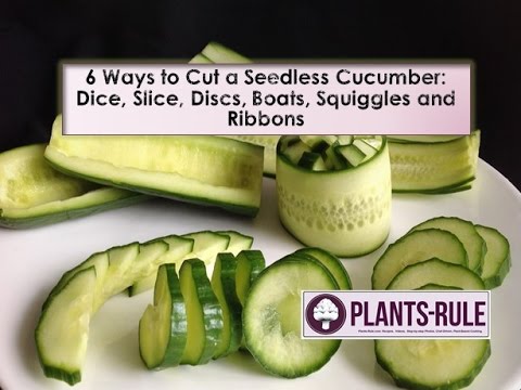 6 Ways to Cut a Seedless Cucumber: Dice, Slice, Discs, Boats, Squiggles ...