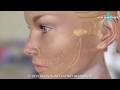 Herpes Simplex Virus (HSV)  - 3D medical animation