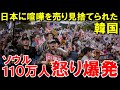 【海外の反応】韓国とんでもない大失態!李在明“日本に完全拒否”でソウル110万人が暴走【世界のJAPAN】