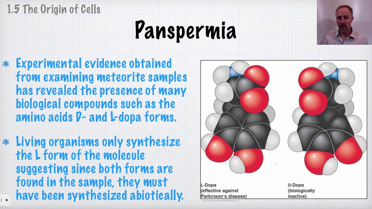[IB Biology Topic 1 Revision] The Origin of Cells