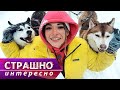 Бурятия. Страшно интересно @Моя Планета