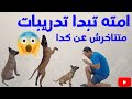 أبدأ تدريب كلبك ومتتاخرش عن كدا اوامر الطاعه مع كابتن شريف شحاته 