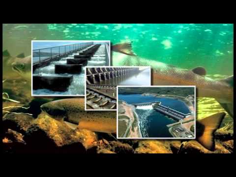 watershed Forecast Mekong: Navigating Changing Waters (Khmer)