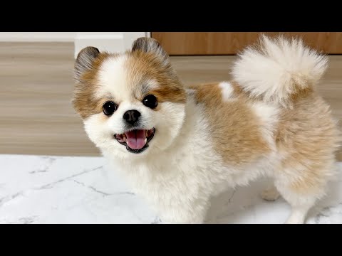 네모가 2년만에 놀러왔어요! ⭐소녀의 네모난 행성