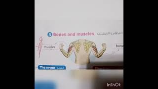 كونكت  بلس سنة رابعة connect plus 4