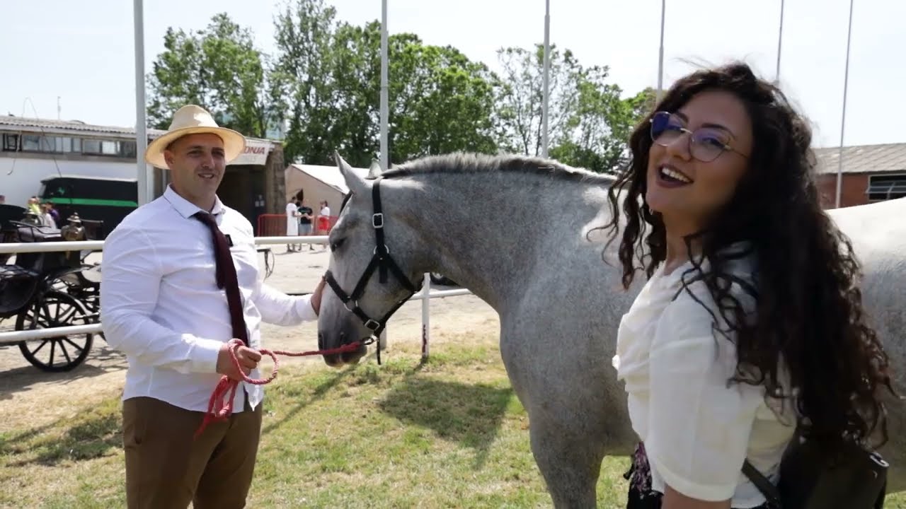 Moj savršeni ljubimac ep. 154 30.05.2022. Uroš Milinković, konji, Novosadski sajam