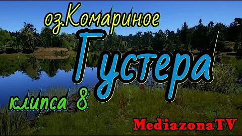 #рр4 оз.Комариное  Густера 26.02.