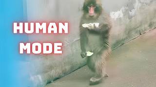 Punch the Birthday Boy Forgot He's NOT Human!
