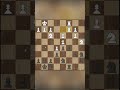 ⚡ Double Rook Power — Brilliant Checkmate! ♟️👑🔥 #chess #lichesstitledarena #chessgame
