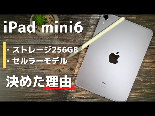iPad mini6】なぜiPad mini6の構成を256GB セルラーモデルにしたのか
