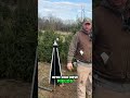 Protecting Future Trees: Exploring New Fields #shorts