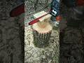 Chainsaw Wood Carving Chair in the Wild #chainsaw #bushcraft #chainsawman #woodcarving  #woodworking