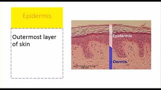 Lesson 7 Medical Terminology