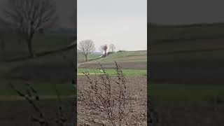 Male Hen Harrier - Man Blauwe Kiekendief Gefilmd Met De Iphone