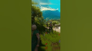 The Witcher 3: Bugs Compilation, Funny Moments