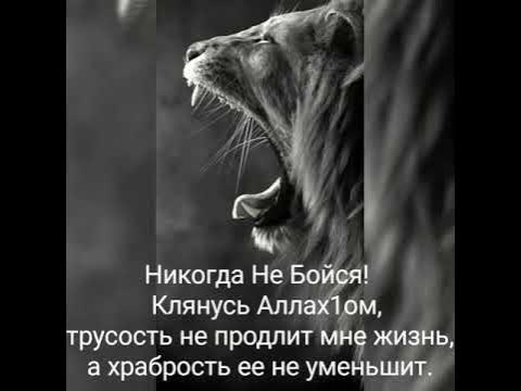 Трусость продляет жизнь. Халид ибн Валид трусость. Храбрость не продлит мне жизнь уменьшит ее трусость. Клянусь Аллахом трусость не. Клянусь Аллахом трусость не продлит мне жизнь а храбрость не уменьшит.