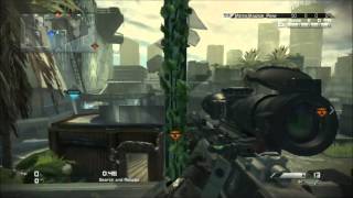 Celebrity Stormfront Hitmarker! Net Worth