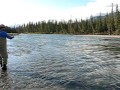 Fly fishing for Bull Trout with Bustin' Trout