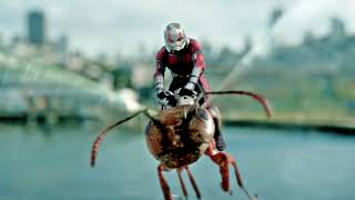 1 bits 2 bis 4 bits 8 bits 16 bits 32 bits 64 bits 128 bits 256 bits 512 bits 1024 bits 2048 bits