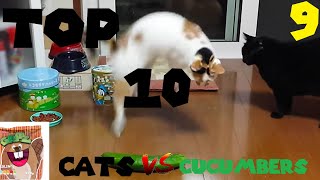 Gritz's Top 10s episode 9: Top 10 Cats vs Cucumbers