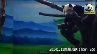20141013仔仔吃飯ㄌ