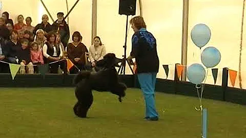2007 May Canine Ruth Dunning