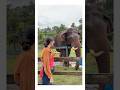 Coorg Vlog 3 #marathimulgi #minivlog #coorg #madikeri #elephant #harangi #southindia #punevlogger