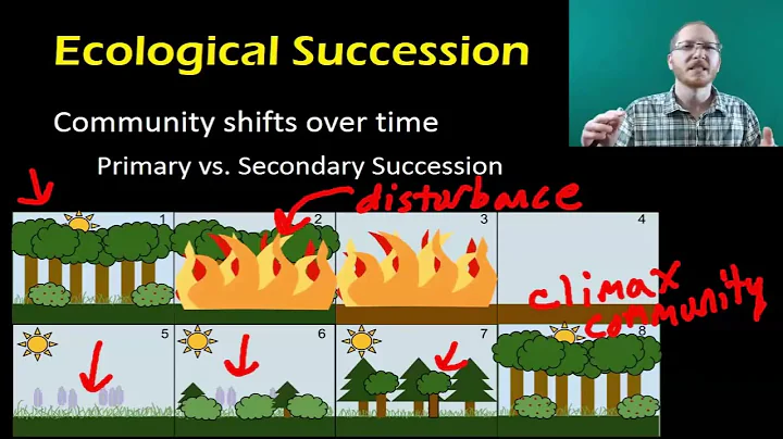 Biology:  Community Ecology