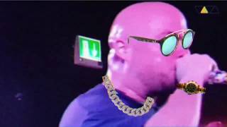 Vor die Hunde - Veriert