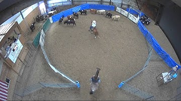 Big Sky Ranch Sorting Saddle Series #4 - #8 HC RANCH HAND (2 CAP SORTER) - Round #1 - Ride #33