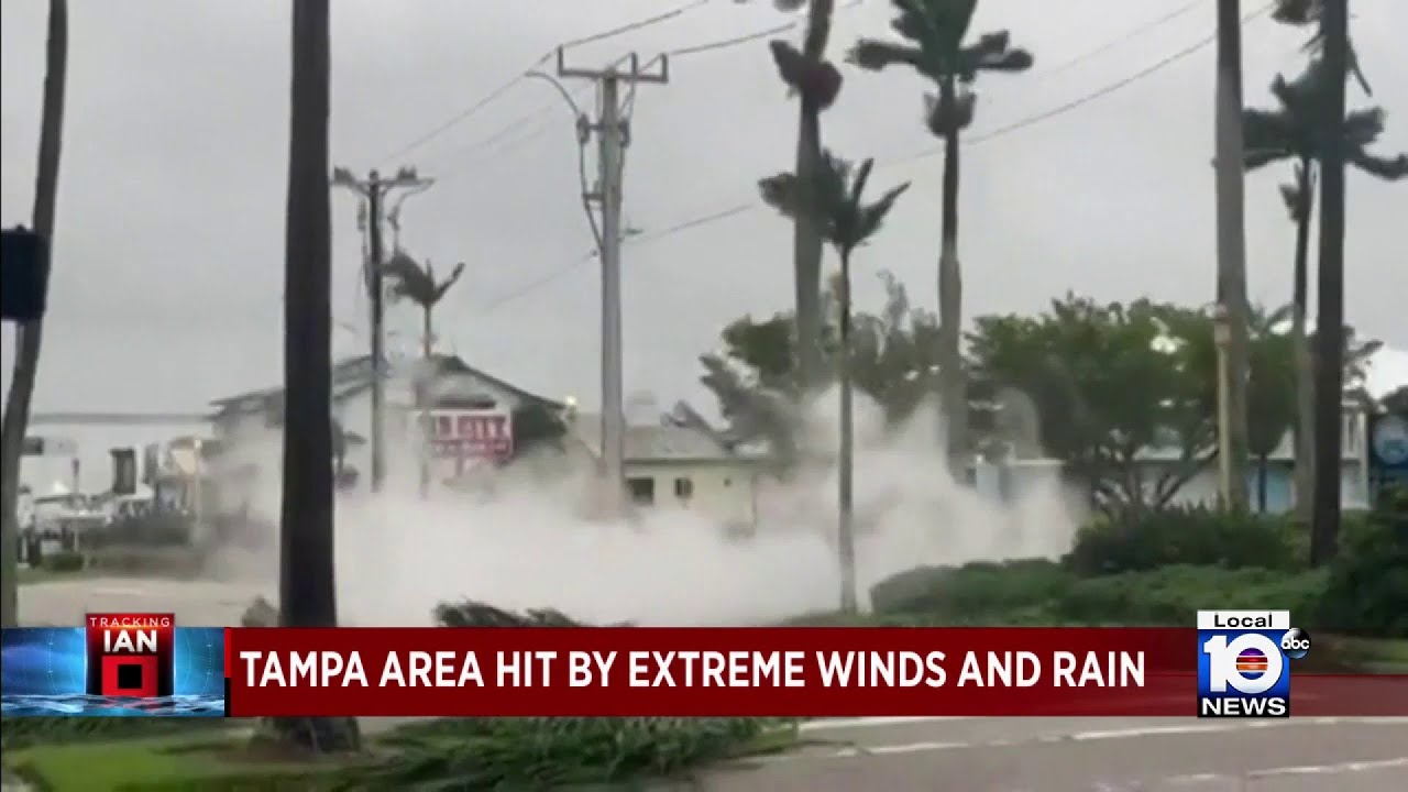 Downed trees, power lines in Tampa after Ian lashes Florida - YouTube