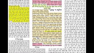 דף יומי מסכת שקלים דף יח Daf yomi Shekalim daf 18 שמואל נבון