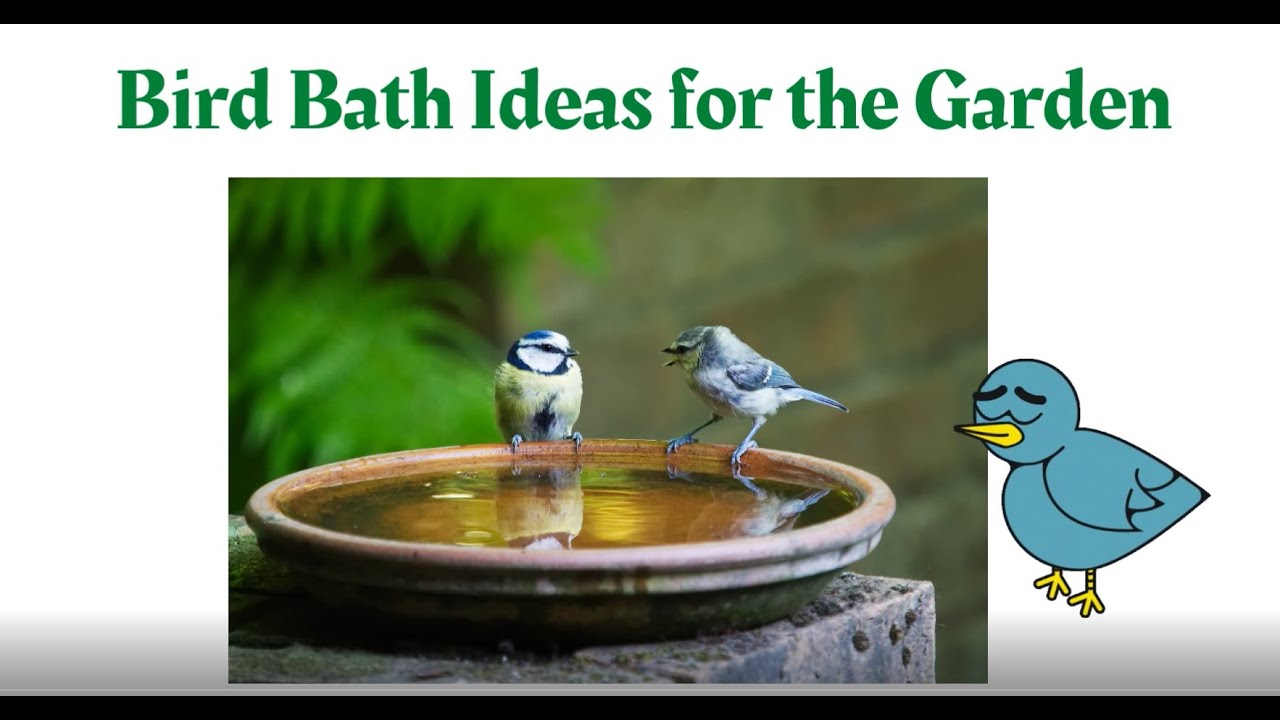 How to Attract Birds to Your Garden Easy Bird Bath Ideas for the Garden