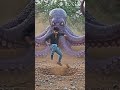 #jhope #csbishtvines #fdccompany #vshojo #qsmp #pawansingh #shortvideo