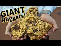 MONSTER GOLD NUGGETS FOUND With Metal Detectors in Aussie Outback!