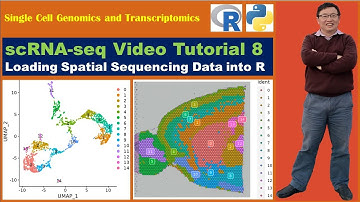 Seurat Video Tutorials--Video 8: Loading Spatial Sequencing Data into R