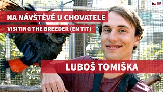 #6 Na návštěvě u Luboše Tomišky 🦜 Visiting the breeder (subtitles)