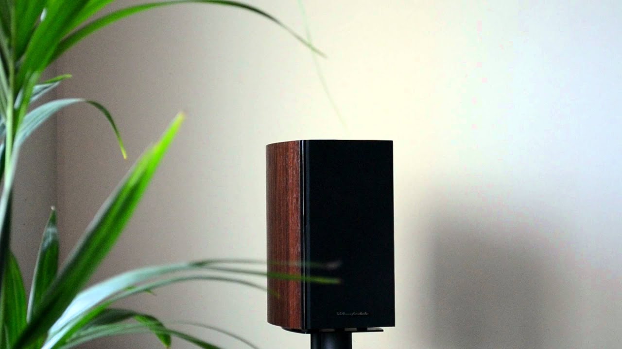 wharfedale diamond 10.1