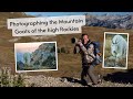 Photographing Mountain Goats in the Rocky Mountains. How I simplified my journey leaving gear behind