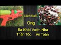 Cách Đuổi Ong Khỏi Vườn Cây Quanh Nhà Thần Tốc