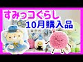 すみっコぐらし【購入品 紹介！】| サンエックス |グッズ|  POP UP | 映画 | おきにいり | 限定  |名古屋 | てのり | けだま | ZIP
