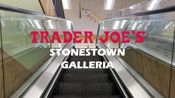 ThyssenKrupp Medium-File Escalators - Trader Joe