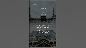 #قران_كريم #ماتيسر من سورة الزمر #أحمد_بن_طالب