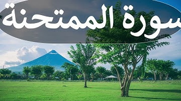 تلاوة سورة الممتحنة كاملة للقارئ احمد الشبلي | surah AlMumtahana