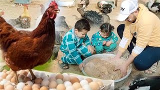سر خطير لزيادة إنتاج البيض بخلطه موفره هتزود إنتاج جميع انواع الطيور طول رمضان خمس أضعاف زيادة إنتاج