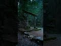 300年の歴史がある神社がヤバかった…