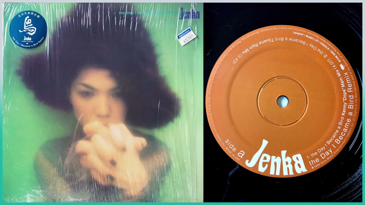 Jenka / The Day I Became A Bird (Tijuana Rain Mix)