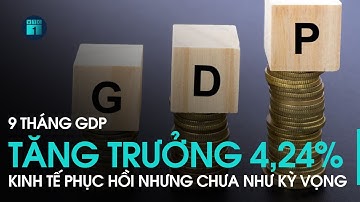 9 tháng GDP tăng trưởng 4,24%: Kinh tế phục hồi nhưng chưa như kỳ vọng | VTC1